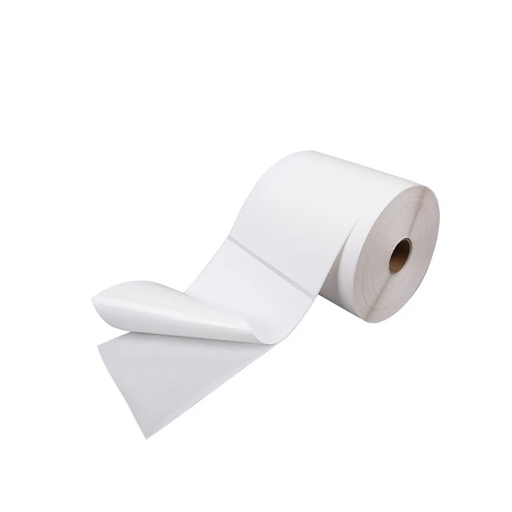 IMG_0301